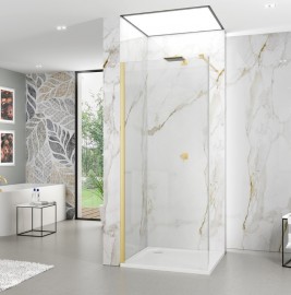 ROTH ALINA samostatná stěna APFXG Walk-in 1000 mm, Gold Brushed, čiré   AP FXG 100200 GPE