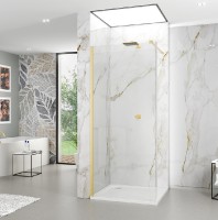 ROTH ALINA samostatná stěna APFXG Walk-in 1000 mm, Gold Brushed, čiré   AP FXG 100200 GPE